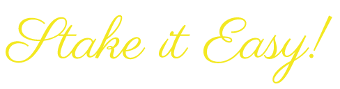 Ocean5 Logo